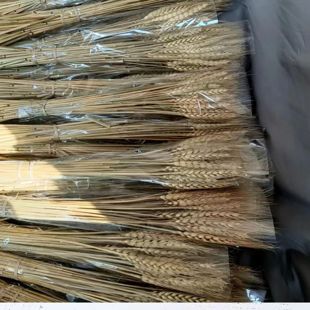 Dried Flower Bulk - 50 قطعة من زهور اصطناعية، سيقان